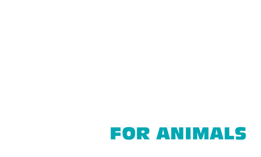 Hart for Animals logo